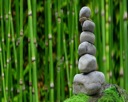 A serene outdoor scene representing balanced daily habits and wellness in an urban park